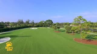 Bear's Paw  Hole 1