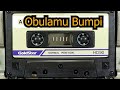 Obulamu Bumpi