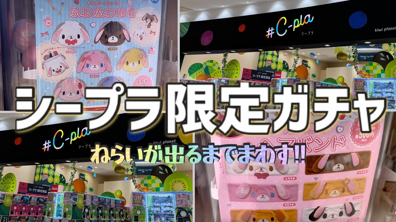 【サンリオ】シープラ限定のシュガバニちゃんガチャが最高すぎた🐰❣️【シュガーバニーズ】