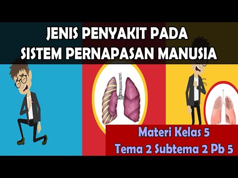 Video: Apakah Kesan Penyakit Saluran Udara Alahan Yang Disatukan Pada Fungsi Paru-paru Dan Jenis Biomarker 2?