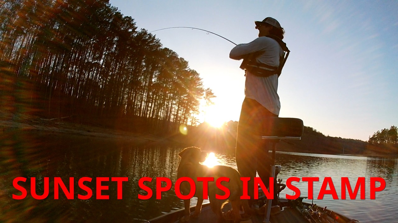 Still Biting in Stamp Creek – Lake Allatoona Spotted Bass Fishing 3-22-26