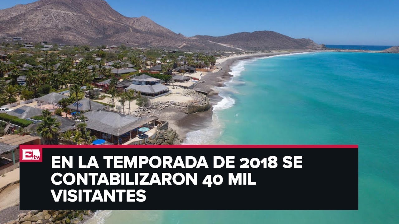 noticias hoy puerto rico Incremento del turismo amenaza a Cabo Pulmo, BC