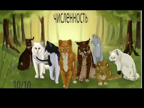коты воители оцениваю