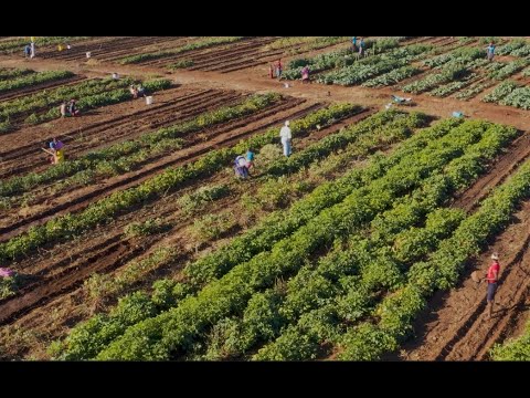 Defying Drought in the Sahel