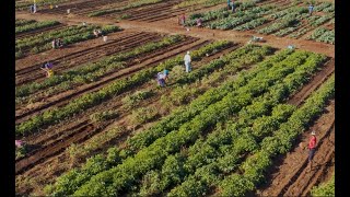 Defying Drought in the Sahel