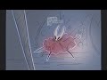 Hollow knight  lets get this over with  pmv  animatic