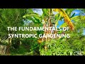 The Fundamentals of Syntropic Gardening