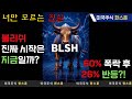 BLSH 투자, 함정일까 기회일까? 초보도 쉽게 알아보는 방법!
