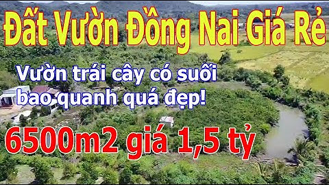 Đất Vườn Đồng Nai Giá Rẻ | Bán vườn cây ăn trái suối bao quanh quá rẻ!! #30