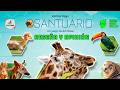 SANTUARIO 🦒 - Un Juego de Ark Nova - Reseña y Opinión