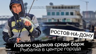 Кого поймал под баржами в центре города? Рыбалка на спиннинг в центре Ростова.  Открытие сезона 2023