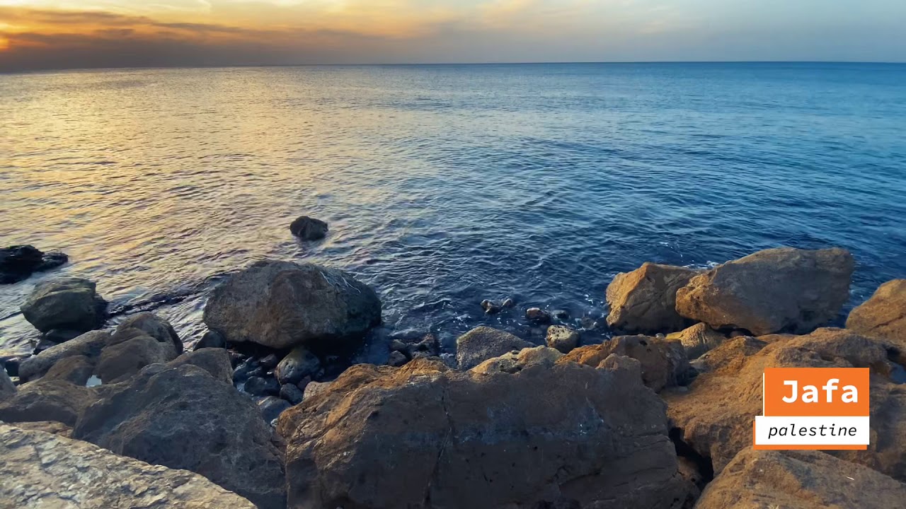 يافا - فلسطين - YouTube