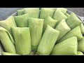 Como HACER Tamales de ELOTE