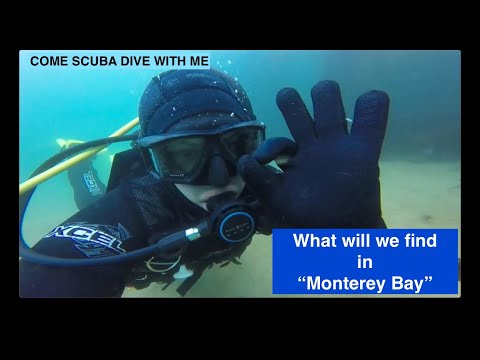 SCUBA Dive the