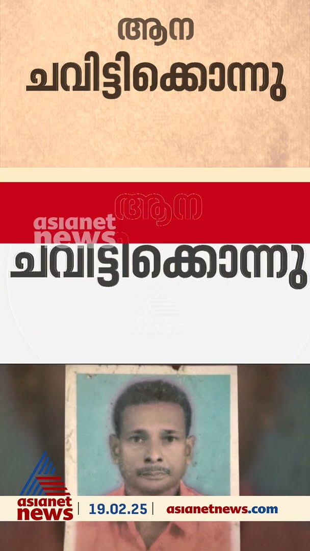 തൃശൂരിൽ അറുപതുകാരനെ കാട്ടാന ചവിട്ടിക്കൊന്നു