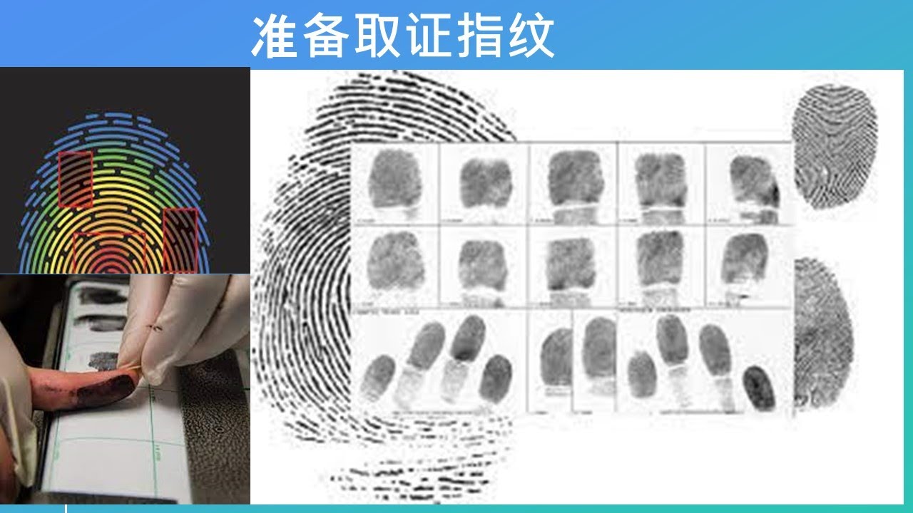 forensic-fingerprint-collection-chinese-youtube