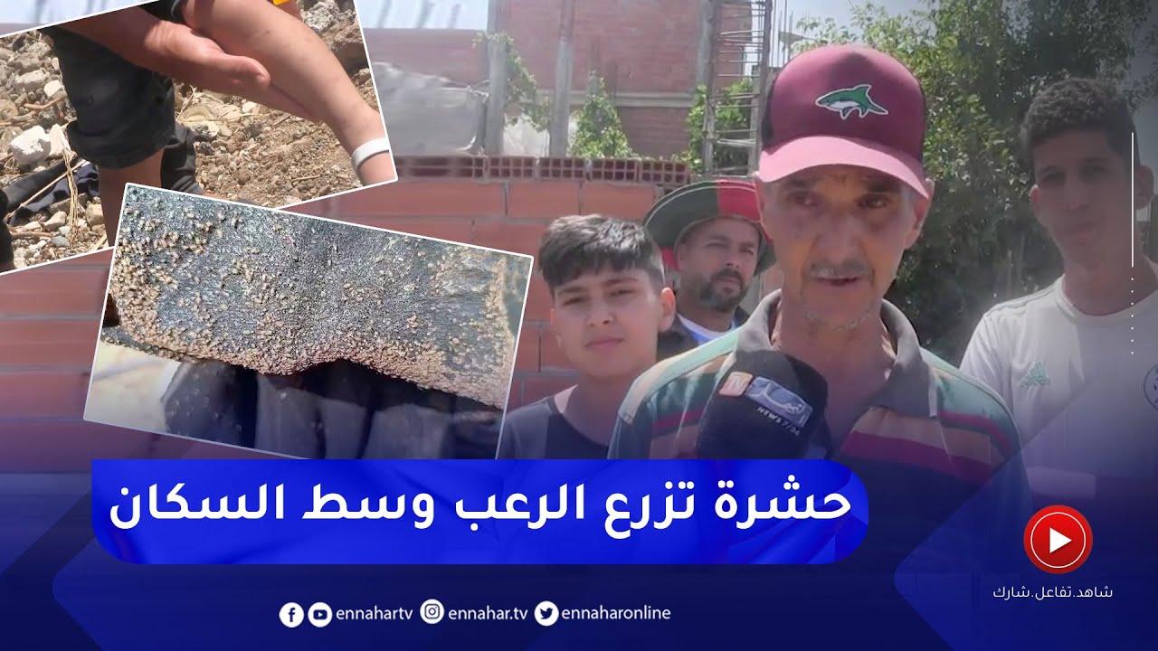 البليدة : حشرة غريبة تغزو بلدية موزاية وتزرع الرعب في نفوس السكان