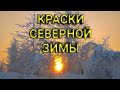 Краски северной зимы.