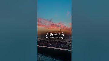 تلاوة هادئة تريح القلب #viral #اكسبلور #قرآن