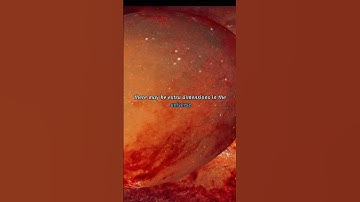 Unveiling the Cosmic Mystery: What Existed Before the Big Bang? : Brian Cox #youtubeshorts #ytshorts