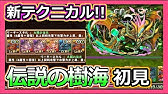 セブンザードのスキル上げ 伝説の樹海周回 パズドラ Youtube