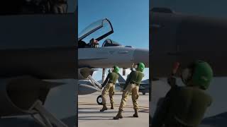 FIGHTER PILOT CAT #catvideo #cat #pilot