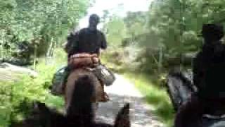 036.MP4 Tur til tinget