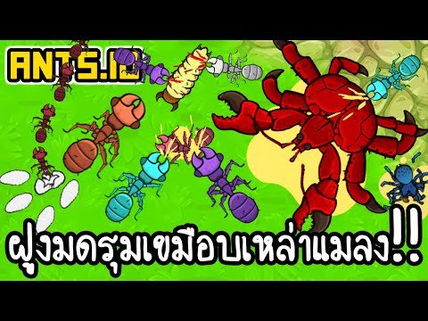 ANTS.io - ฝูงมดรุมเขมือบเหล่าแมลง!! [ เกมส์มือถือ ]