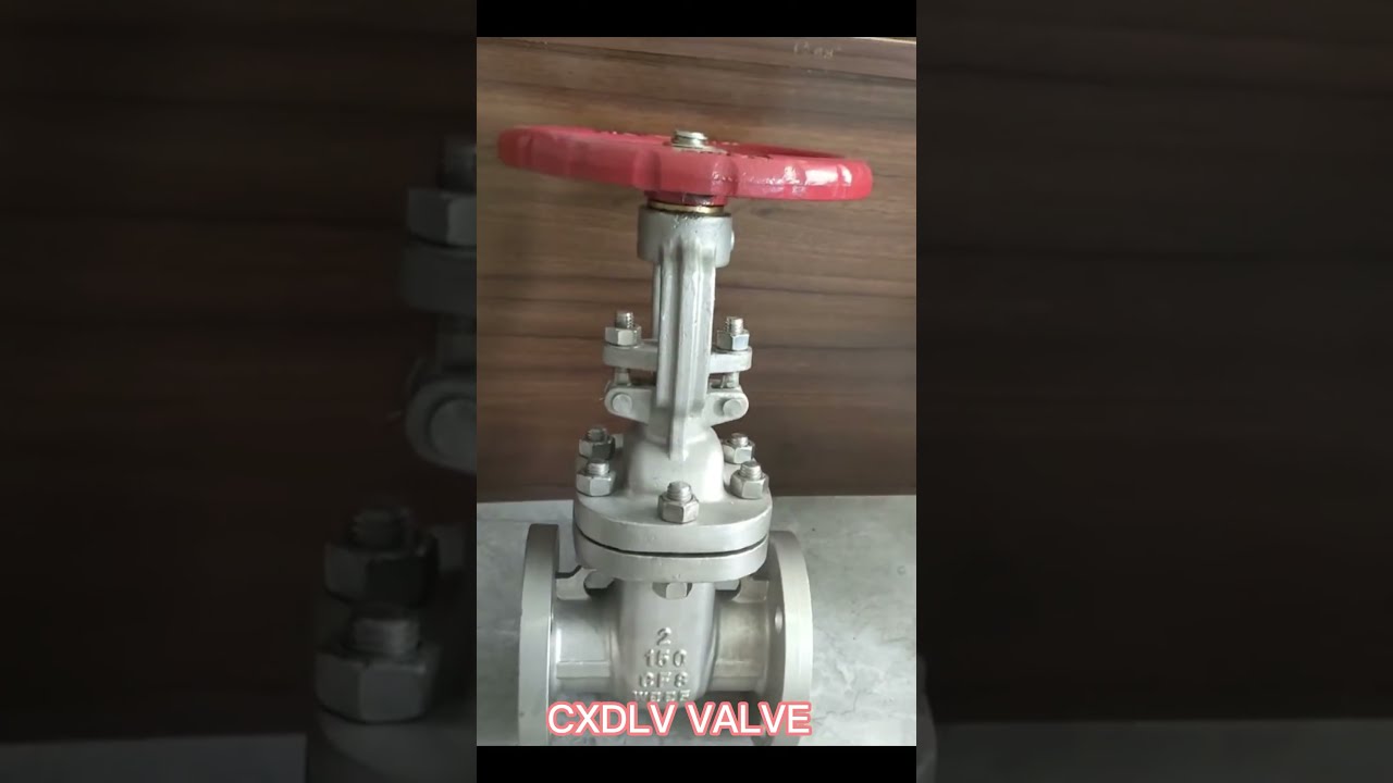 Yoke Flexible Wedge Gate Valve Outside Screw Full Port BB OS Y