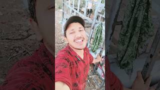 #yesa na ho ishak me #trending #shortvideo #youtubeshorts #love #viral