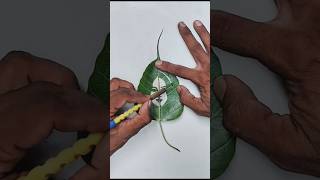 Elli Avram On Leaf Carving Art | Leaf Art | #shorts #youtubeshorts #shortvideo