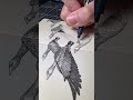 White fronted goose drawing #inspiredbynature #geese #drawing #sketch