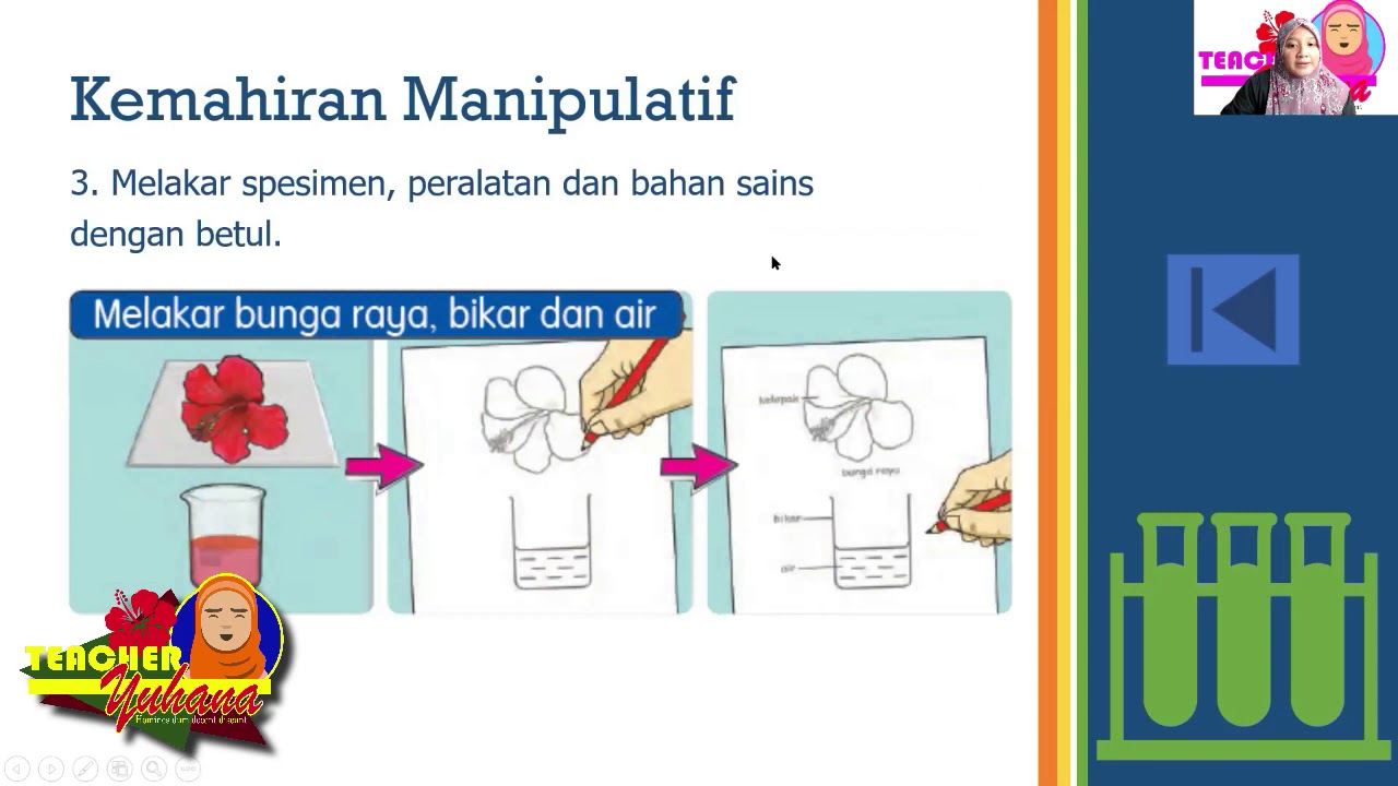 Sains Tahun 2 Kemahiran Manipulatif Youtube
