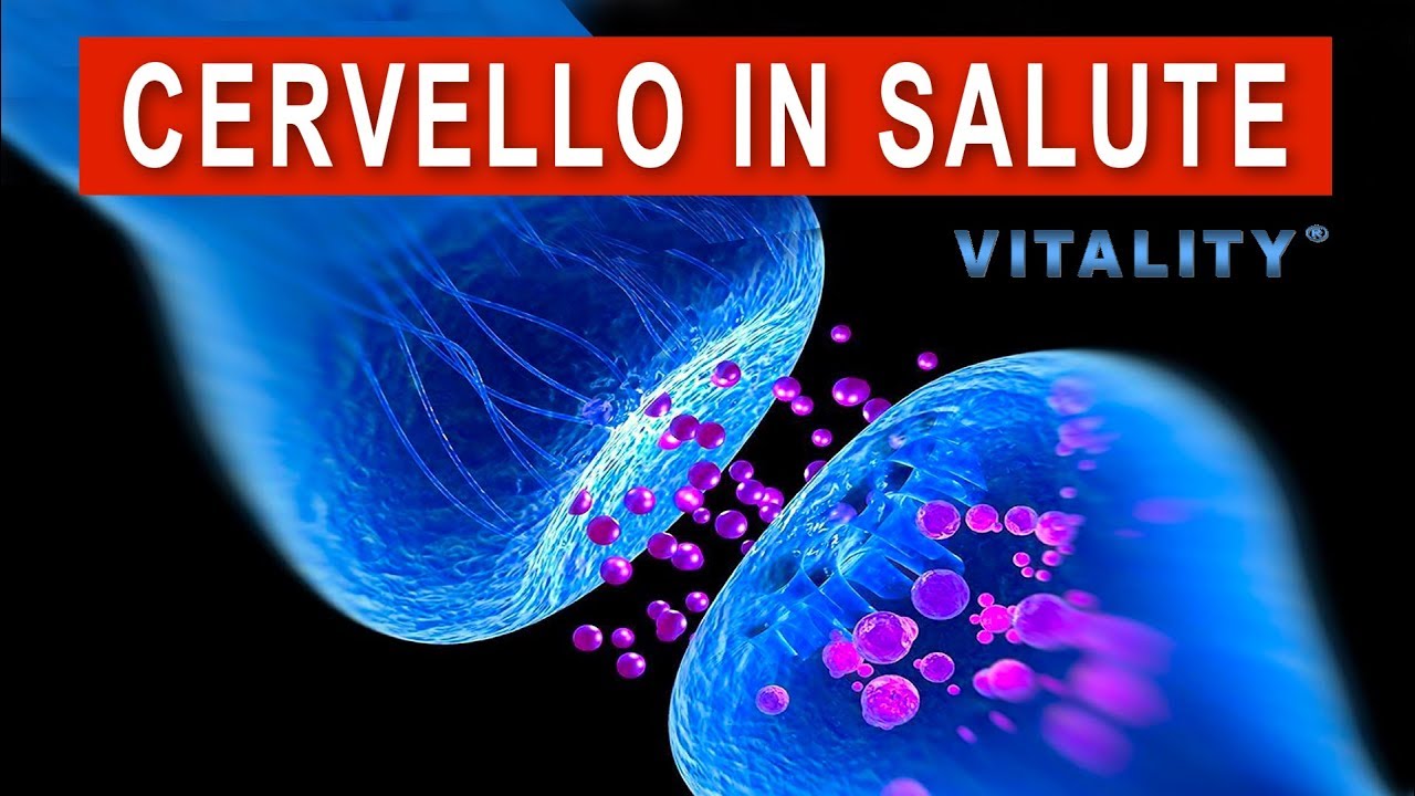 Come Tenere in Esercizio il Tuo Cervello (con Immagini)