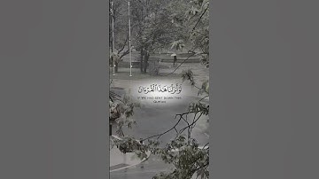 قرآن كريم #اكسبلور #القزابري #المصحف #quran #لايك #قران_كريم #قران_كريم #ترند