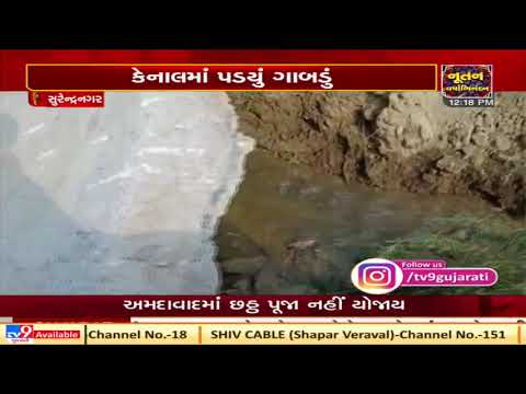 Surendranagar : Breach occurs in Narmada Canal, Farmers irked  | Tv9News