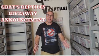 Grays Reptiles Giveaway Announcement And Amazing Available Ball Pythons