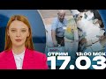 Выборы президента России | Полдень против Путина | 17.03 13:00 МСК