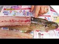 How to Fillet a Pike (and Get 5 Boneless Fillets!)