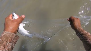 صيد الطيور في العراق صيد سمك الا بياح الاجز الأول