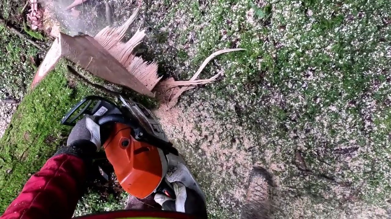 Husqvarna 564 XP vs Stihl 400 1