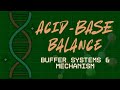 pH Balance &amp; Buffers in Telugu | Acid-Base Homeostasis | B.Pharm &amp; GPAT.