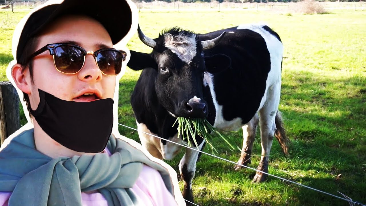 *IN A DAY OF STAGE 4 LOCKDOWN* - COVID- 19 Vlogs