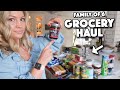 Grocery Haul! | SACCONEJOLYS