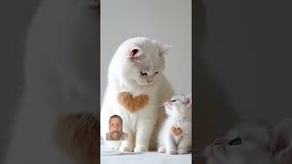 Httpsyoutubecomshortsahu1cw y7music4tot3bubvkcxgpd