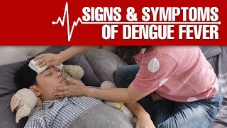 What are the Signs and Symptoms of Dengue Fever?