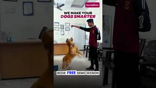 BOOK A FREE DOG TRAINING DEMO AT HOME!