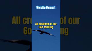 All creatures of Our God and King #christianmusic #instrumentalhymns #shorts #shortsfeed #ytshorts