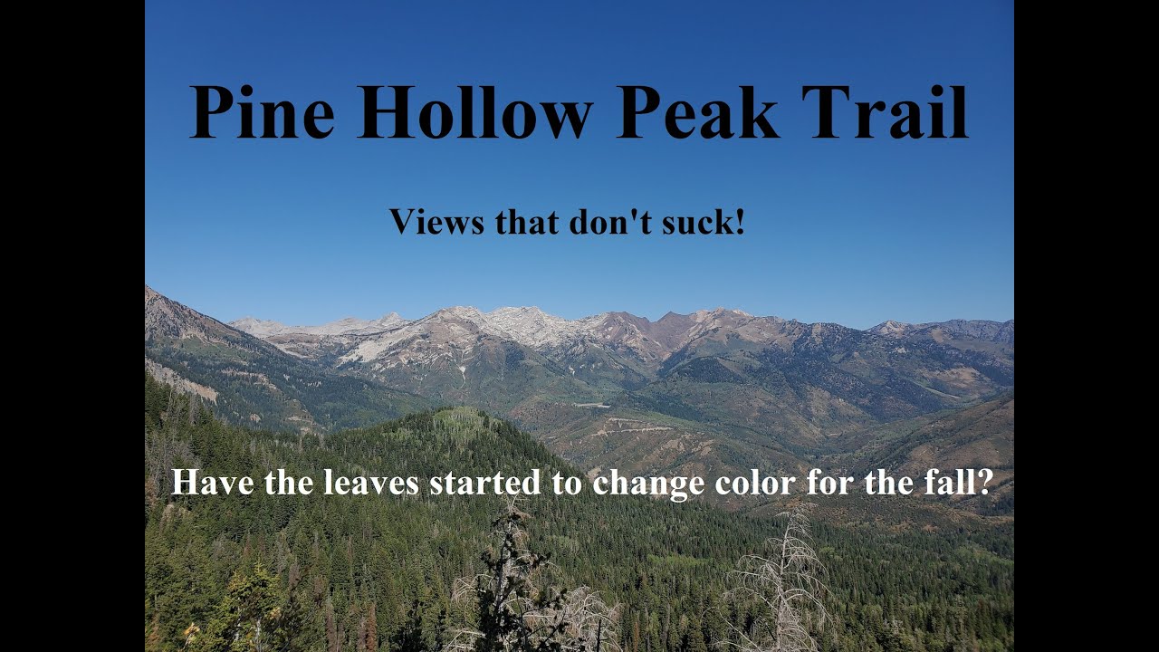 salamander flats campground