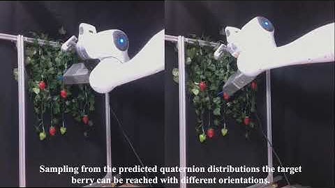 dPMP-Deep Probabilistic Motion Planning: A use case in Strawberry Picking Robot